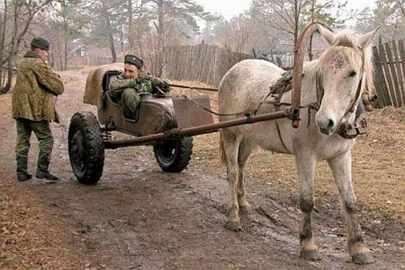 вэдовый