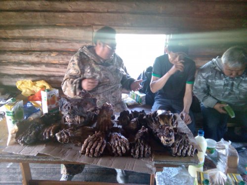 Подготовка к "чалбаран" - празднику добычи медведя