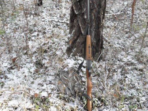 в октябре 2015