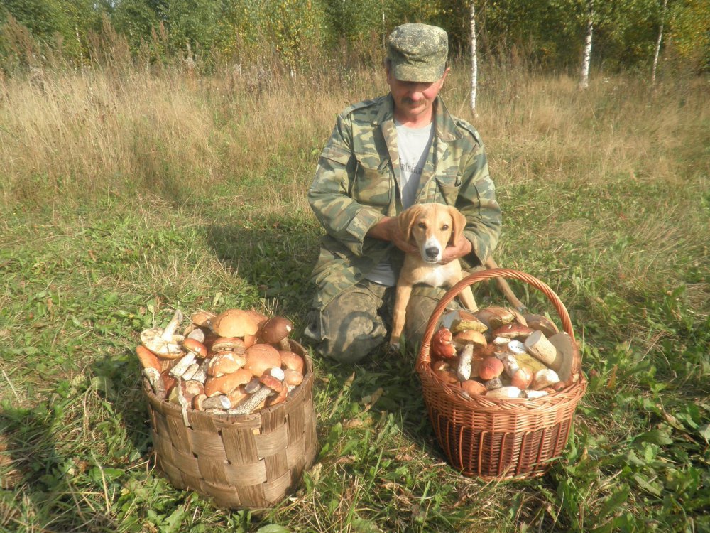 После "тихой охоты"
