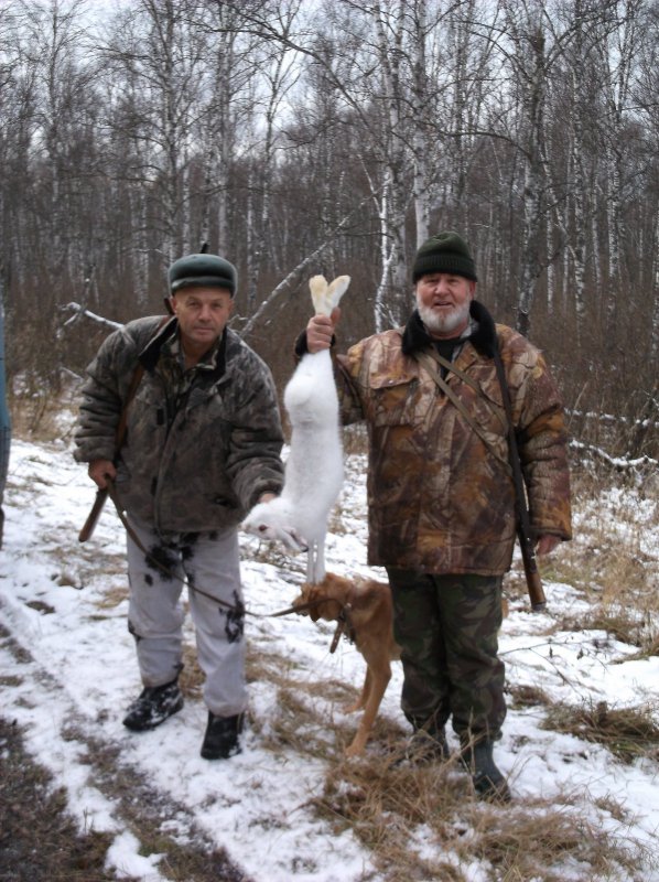Белячок