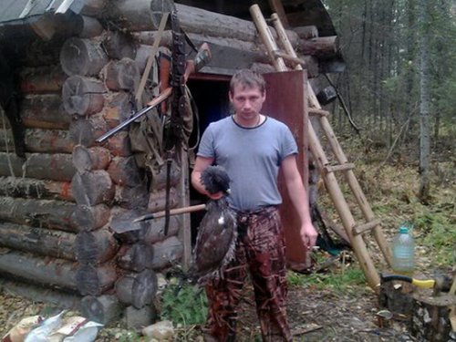 избушка в тайге