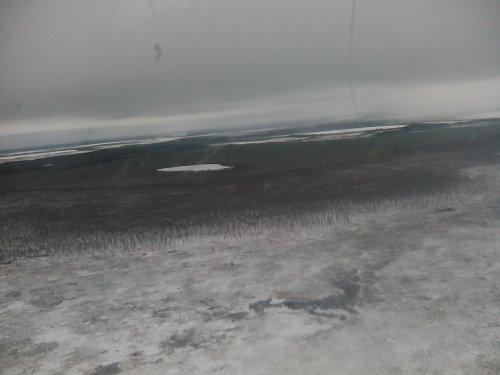 Отктябрьский лес с вертолёта.