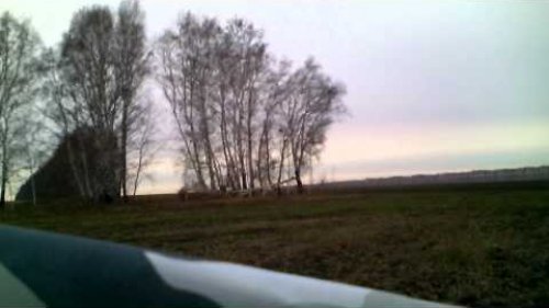 На тетерева с чучелами (часть 1)