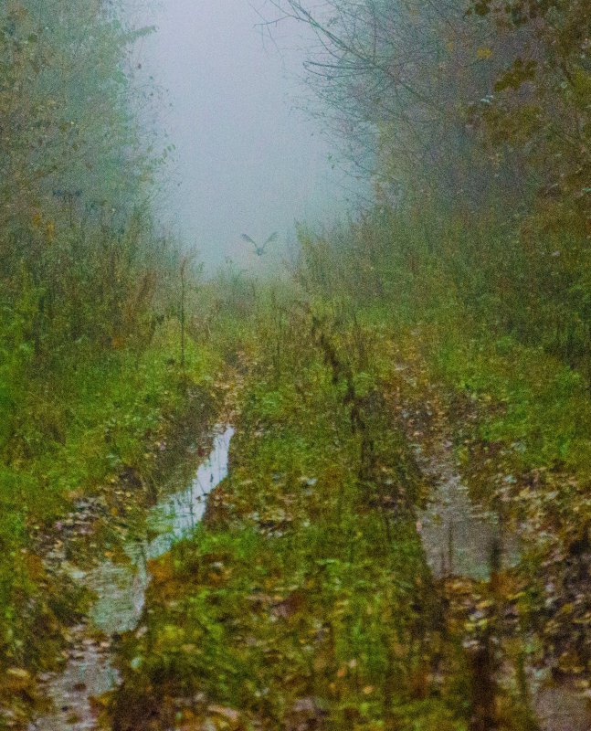 На взлётке)