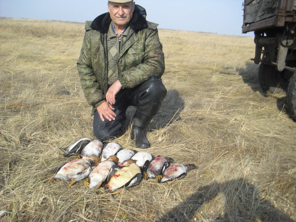 Хороши крохали и гогольки!