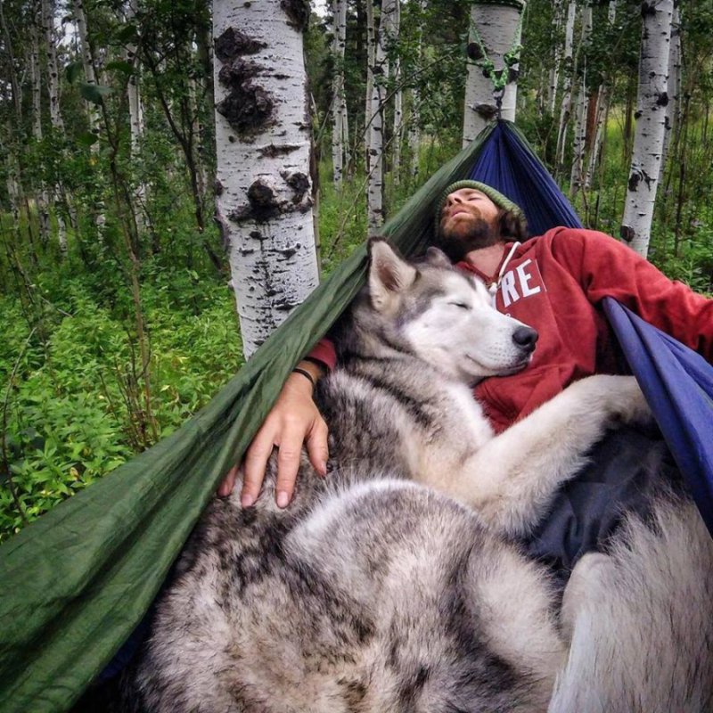 Замечательное фото Французкого Путешественника