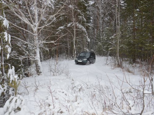 Ласточка!