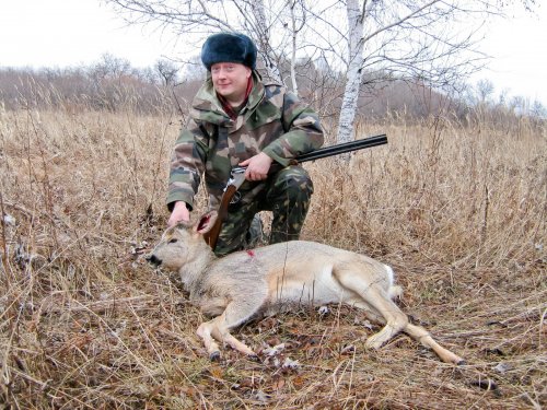 НСО косуля