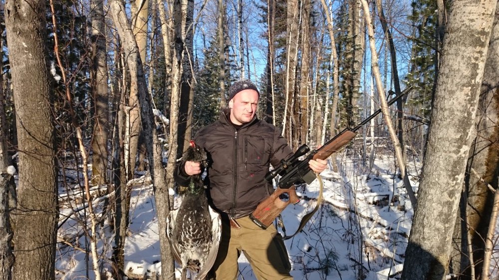 Глухарь....