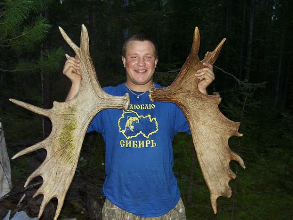рога лося