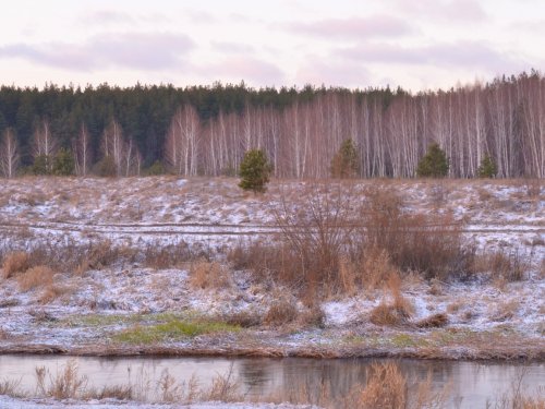 Предзимье. 4