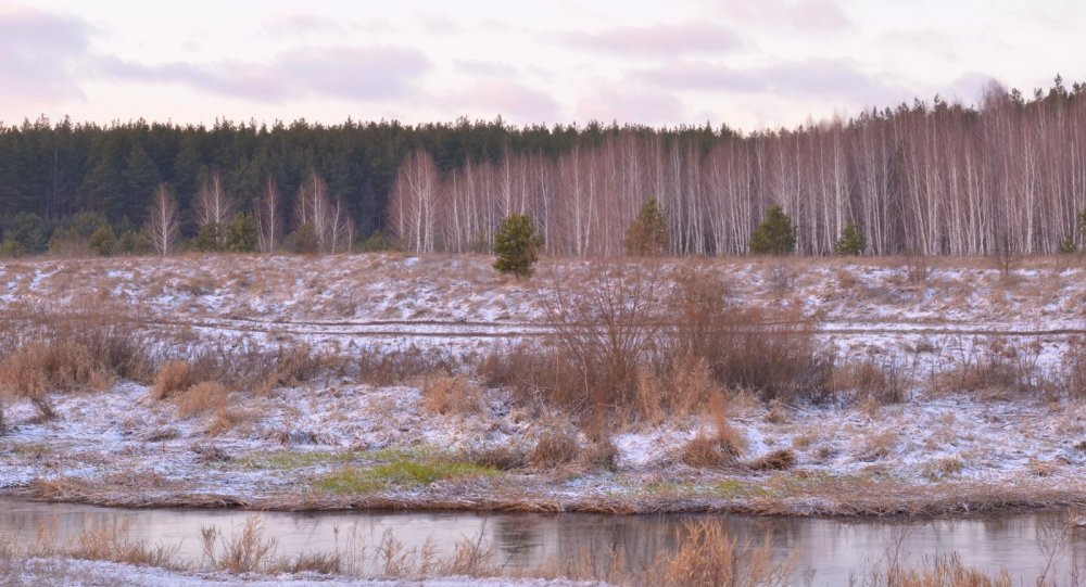 Предзимье. 4