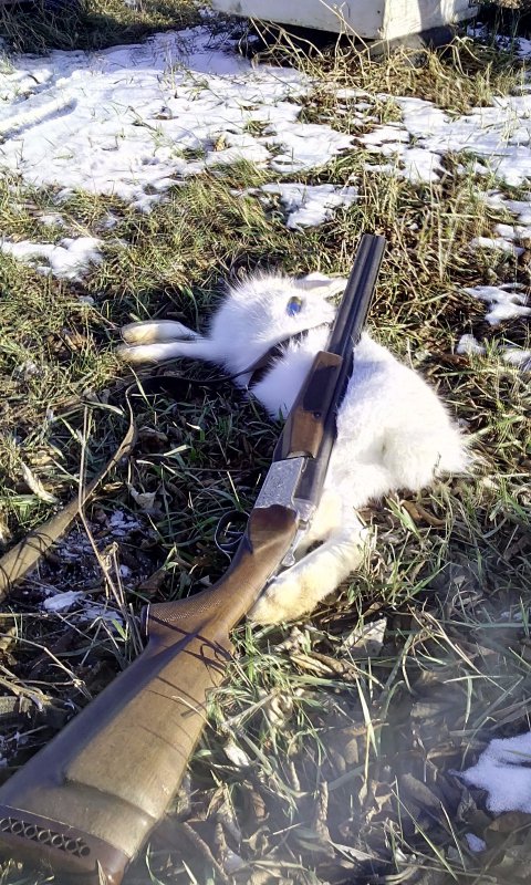 Беляк!