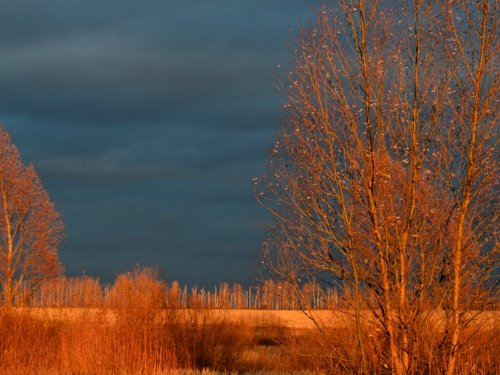 Предзимье. 2