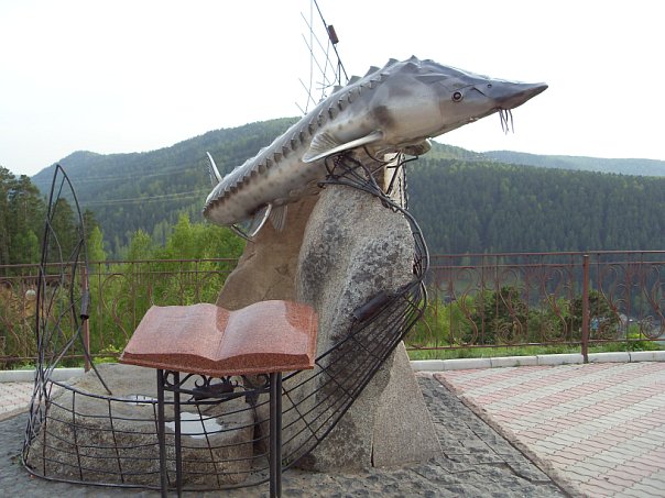 Памятник осетру