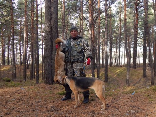 спасибо "звонке"