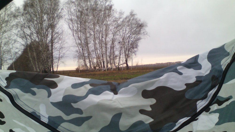 На тетерева с чучелами