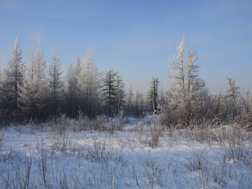 В краю алмазов