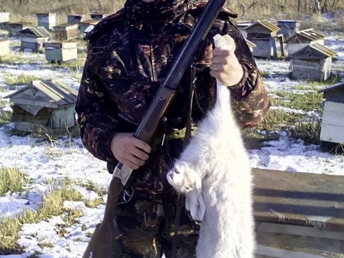 Первый заяц!