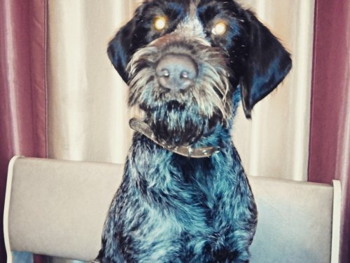 на паспорт