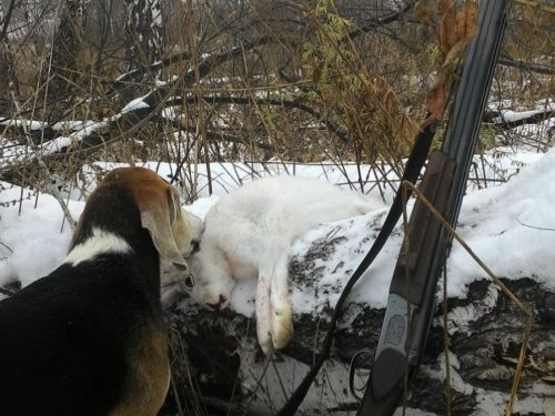 ГРФ новосибирский район