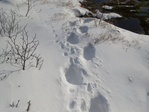 Налево пойдёшь-воротник найдёшь.Направо...лучше не ходить)))