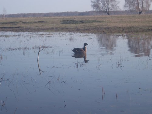 на боевом посту))