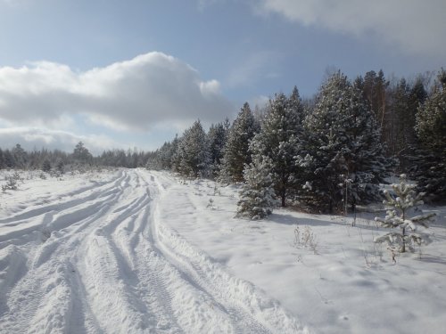 Хороша зима