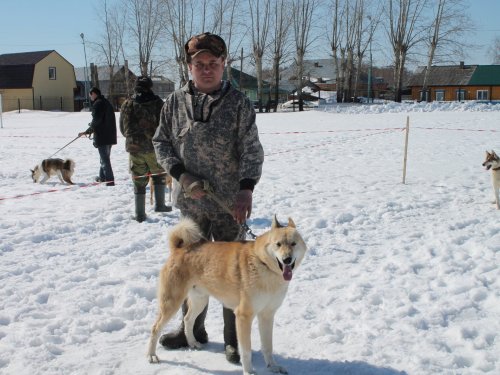 На выставке .