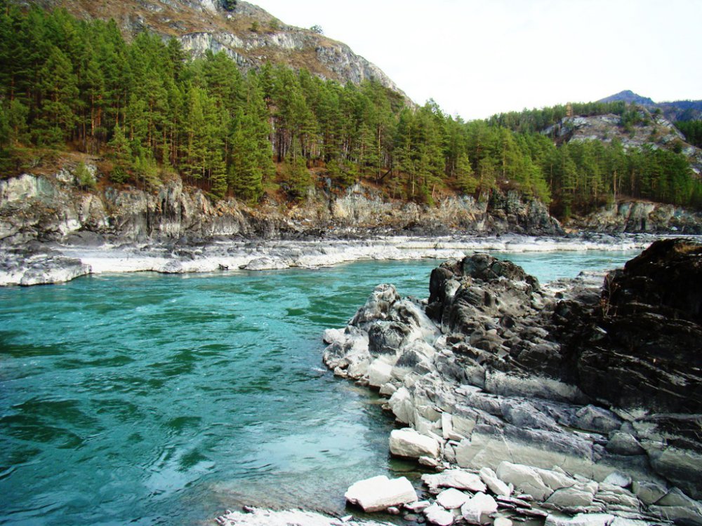 Катунь
