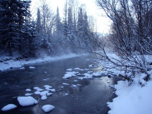 Алтай, Чарышский район