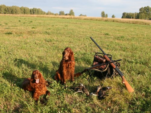 Славно поохотились! хоть и устали.....