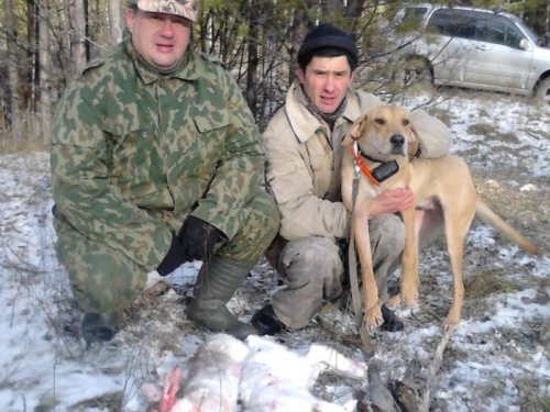 Тоже зайчишки