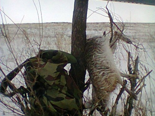 Поднял утром - взял после обеда.