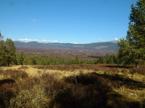 Алтай