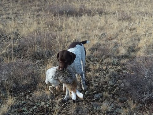 сезон открыл.