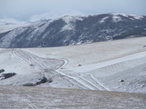 Предгорья Алтая