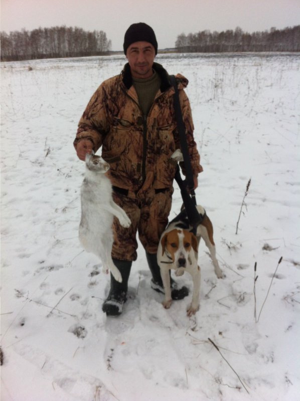 Первый зайка Роя