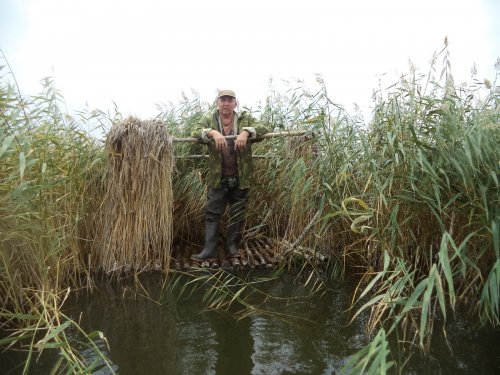 Вода прибыла.