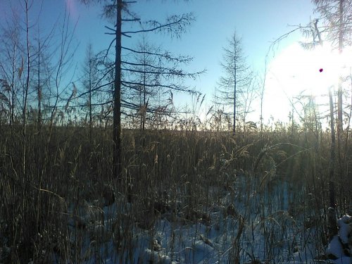 Выезд 22.11.15!