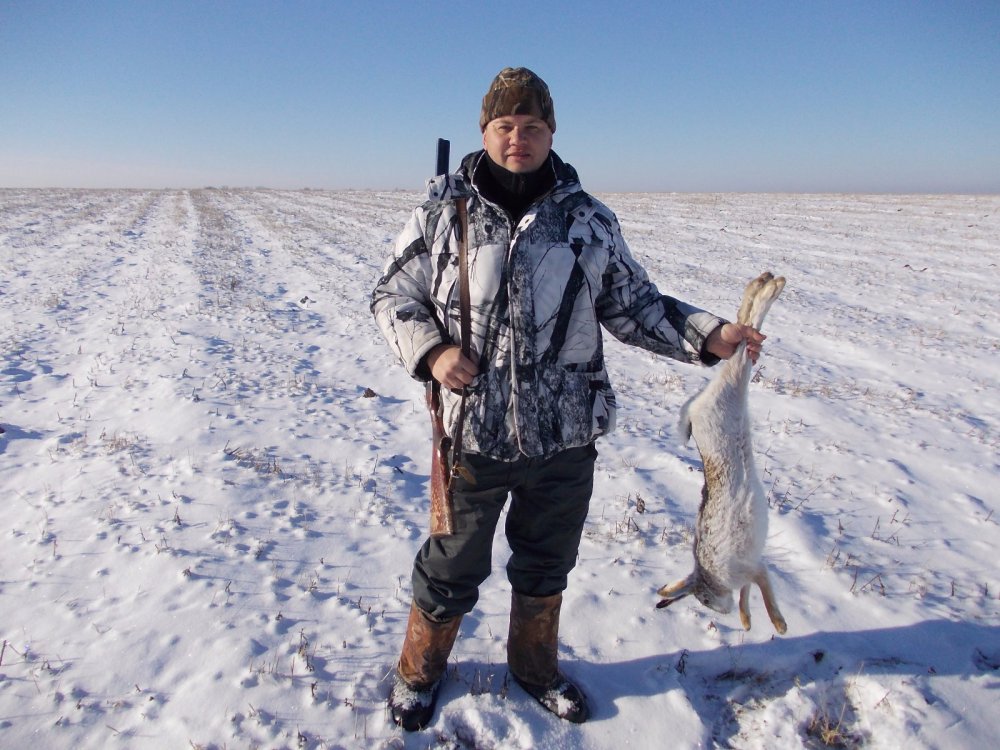 В полях