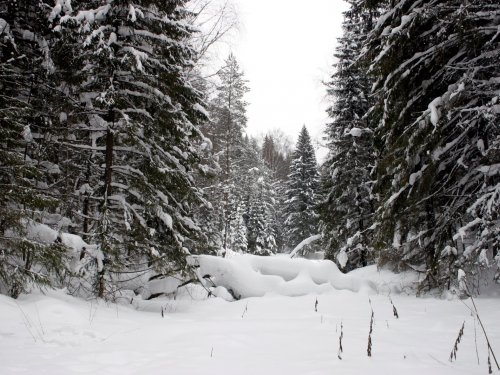 Зима