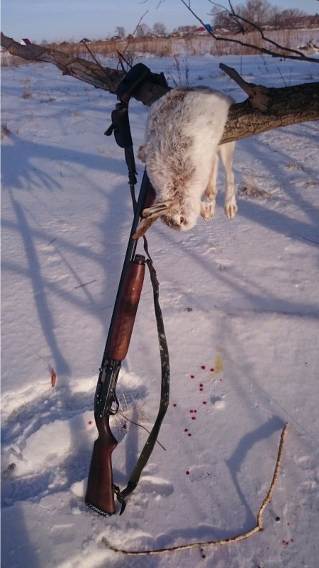 Русачек!!!