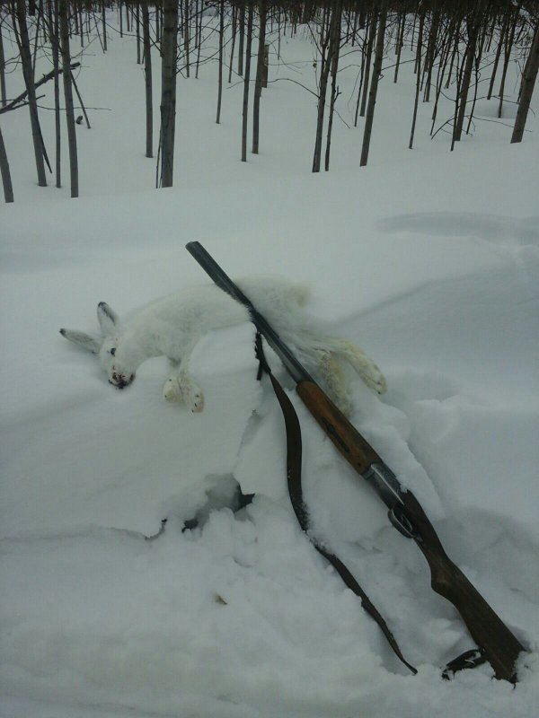 Выезд в родные душе места.