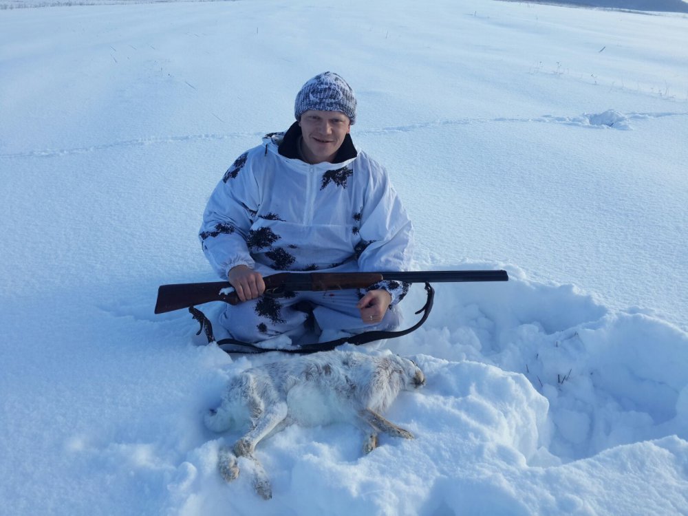 По свежему снегу