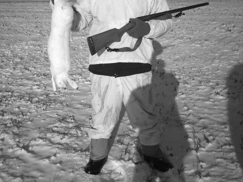 Зайка побегайка