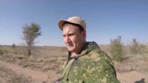 Ходовая охота с легавой собакой
