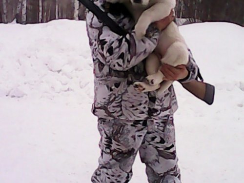 Женька(2мес.)