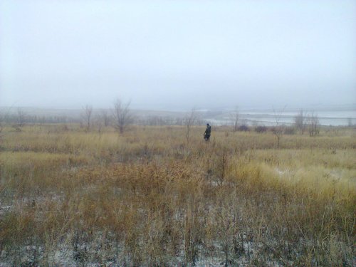 Болезнь